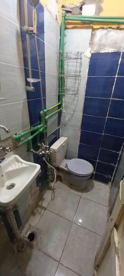 מלון אסואן Otasho Nile View House מראה חיצוני תמונה