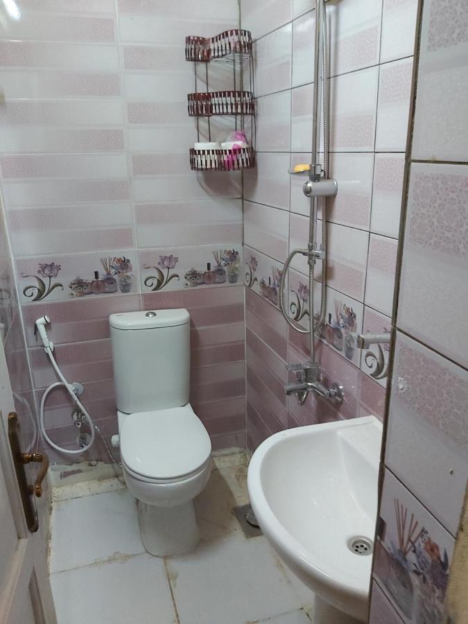 מלון אסואן Otasho Nile View House מראה חיצוני תמונה