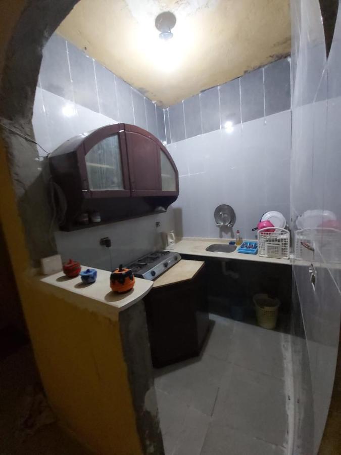מלון אסואן Otasho Nile View House מראה חיצוני תמונה